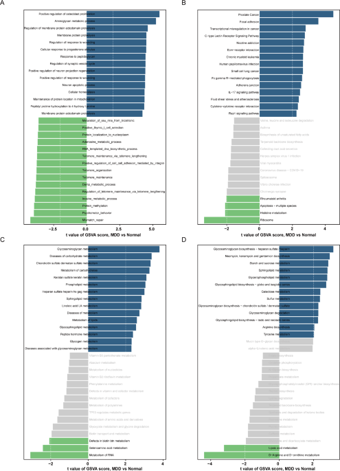 Integrative analysis of signaling and metabolic pathways, immune infiltration patterns, and machine learning-based diagnostic model construction in major depressive disorder