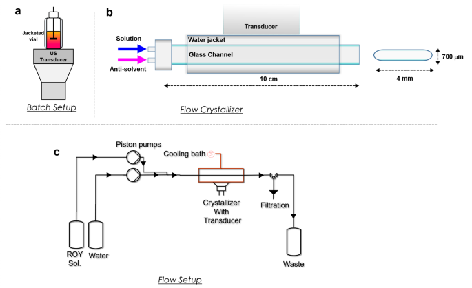 Altering ROY polymorph crystallization in conventional and microfluidic crystallizers with acoustic cavitation