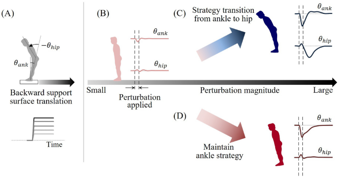 Biomechanical optimization and reinforcement learning provide insight into transition from ankle to hip strategy in human postural control