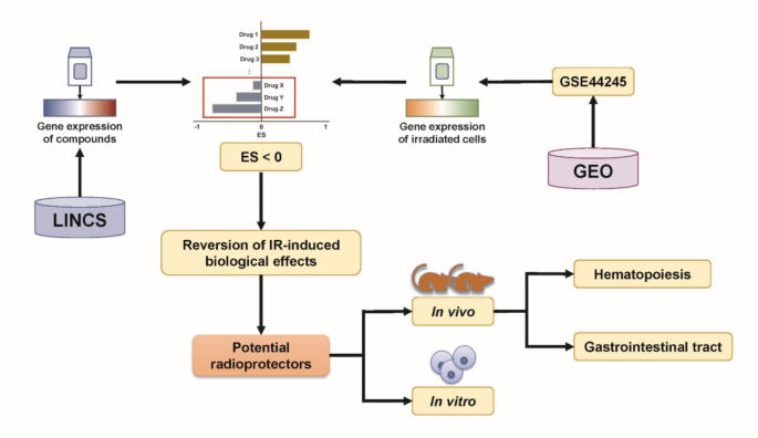 Reposition of lenalidomide as a radiation protector based on LINCS gene expression signatures and its preclinical validation