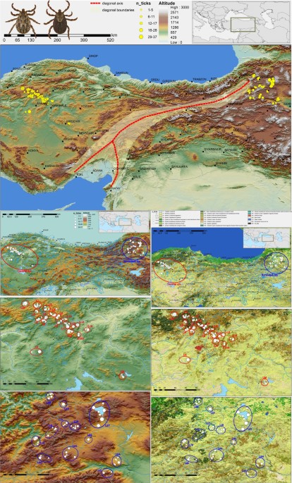 Population genetic structure and demographic history of Dermacentor marginatus Sulzer, 1776 in Anatolia