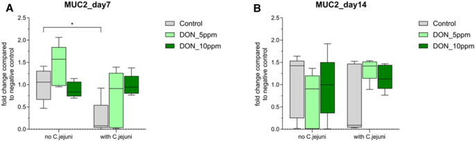 Exposure of broiler chickens to deoxynivalenol and Campylobacter jejuni induces substantial changes in intestinal gene expression