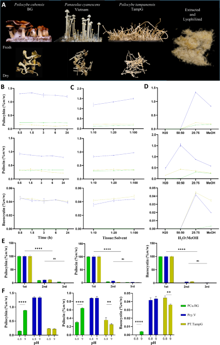 Comprehensive analysis of 42 psilocybin-producing fungal strains reveals metabolite diversity and species-specific clusters