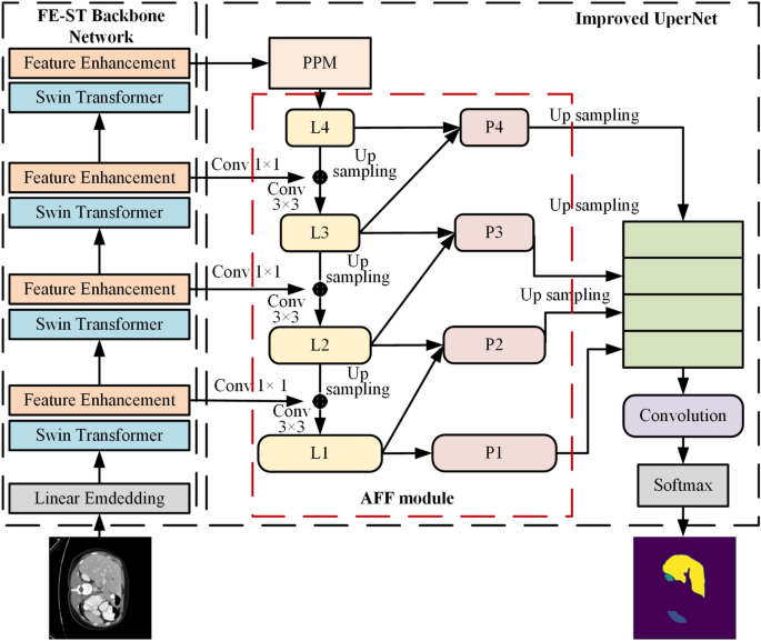 Medical image segmentation by combining feature enhancement Swin Transformer and UperNet