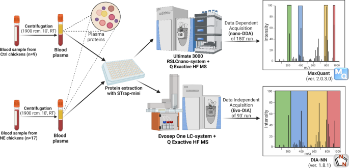 Blood proteome profiling for biomarker discovery in broilers with necrotic enteritis