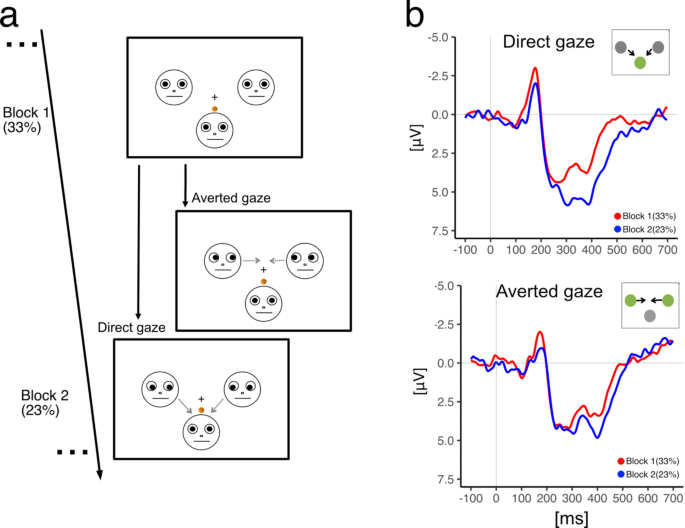 Direct and averted gaze modulate the event-related brain responses to social exclusion signals