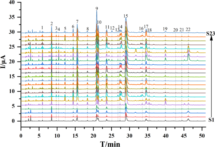 Antioxidant profiling and quality assessment of Lithocarpus polystachyus sweet tea using LC-ECD and LC-MS/MS