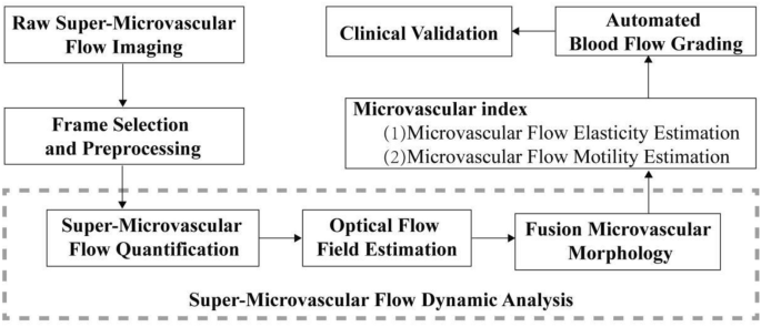 A method for quantifying and automatic grading of musculoskeletal ultrasound superb microvascular imaging based on dynamic analysis of optical flow model