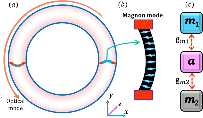 Bipartite entanglement and Gaussian quantum steering in a whispering gallery mode coupled with two magnon modes