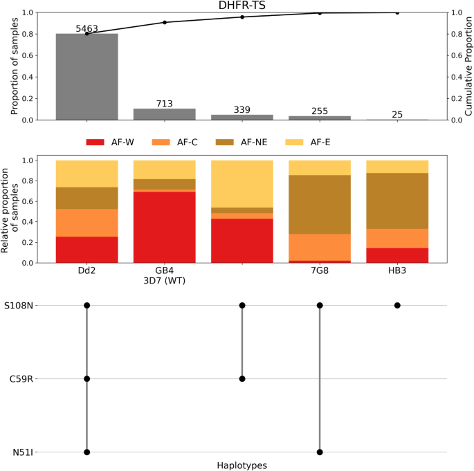 Disparate co-evolution and prevalence of sulfadoxine and pyrimethamine resistance alleles and haplotypes at dhfr and dhps genes across Africa