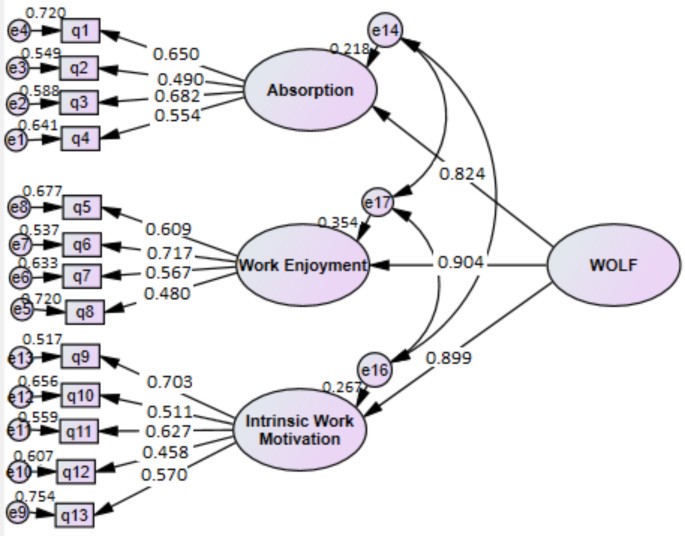 Workplace flow among clinical residents and professors
