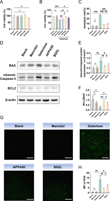 Ameliorating effect of the aldose reductase inhibitor 1-Acetyl-5-phenyl-1 H-pyrrol-3-ylacetate on galactose-induced cataract