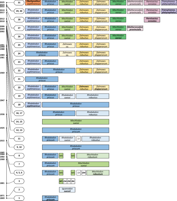 Exploring the diversity and disparity of rhabdodontomorph ornithopods from the Late Cretaceous European archipelago