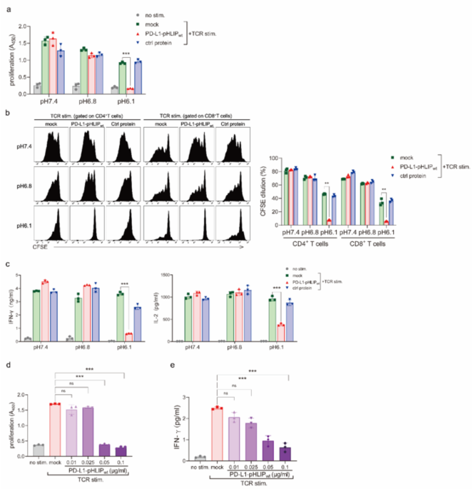 Improved acid-driven inhibition of effector T cell function by a pHLIP variant-conjugated PD-L1