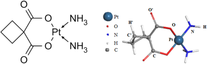 Computational study of carboplatin interaction with PEG-functionalized C60 fullerene as a drug carrier using DFT and molecular dynamics simulations