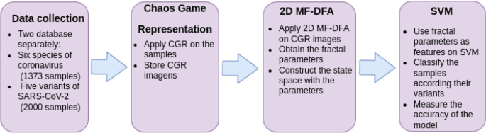 Multifractal analysis and support vector machine for the classification of coronaviruses and SARS-CoV-2 variants