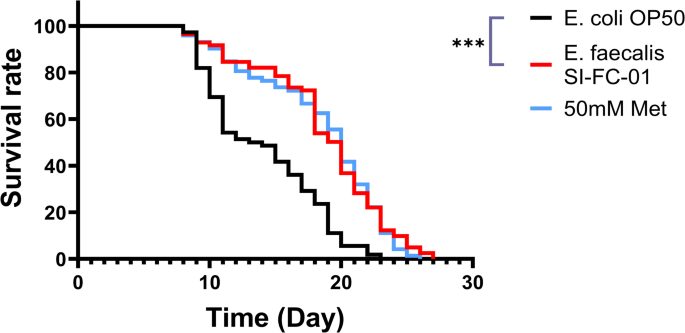 Enterococcus faecalis SI-FC-01 enhances the stress resistance and healthspan of C. elegans via AKT signaling pathway