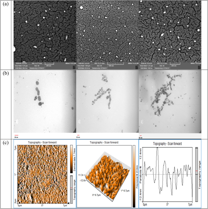 Spectrophotometric and smartphone-based colorimetric methods utilizing polyvinylpyrrolidone-capped silver nanoparticles for determining doxorubicin in human plasma samples