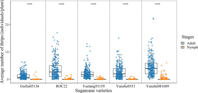 The overwintering situation and influencing factors of Fulmekiola serrata in Yunnan sugarcane planting areas of China