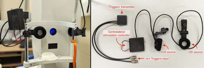 Direct crosstalk between adult human retinas as suggested by interocular transfer of neurovascular coupling through photic stimulation