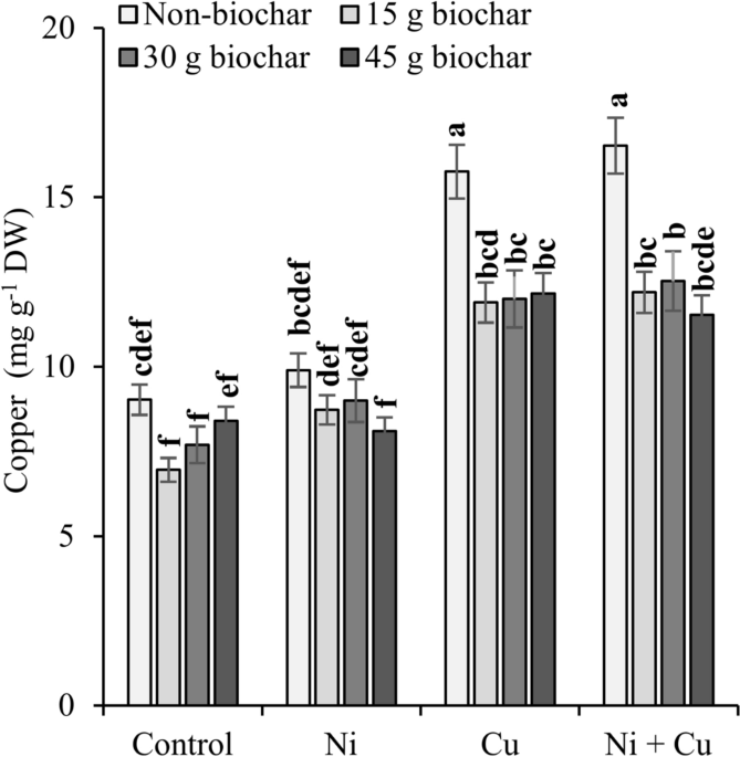 Biochar-mediated remediation of nickel and copper improved nutrient availability and physiological performance of dill plants