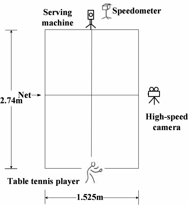 Correlation between upper limb proprioception and stroke effect of table tennis players