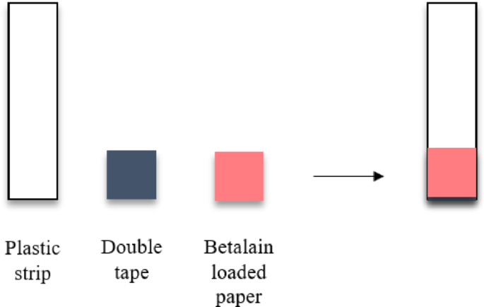 Development of paper based colorimetric method using pigment from red dragon fruit for determination of Cu and Fe