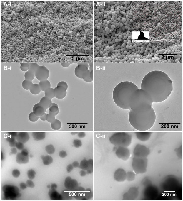 Synthesis, characterization, and exosomal corona formation of self-assembled dipeptide nanomaterials