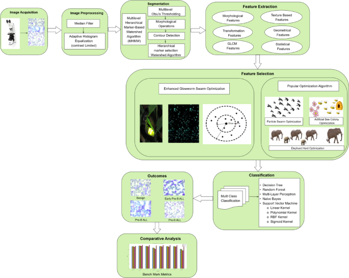 An improved multiclass classification of acute lymphocytic leukemia using enhanced glowworm swarm optimization