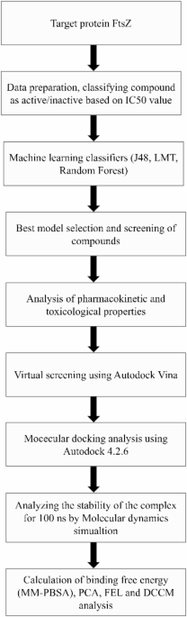 Unveiling Berberine analogues as potential inhibitors of Escherichia coli FtsZ through machine learning molecular docking and molecular dynamics approach