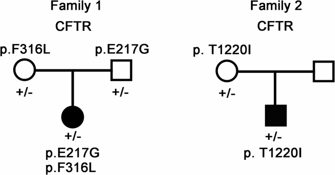 CFTR acts as a potential therapeutic target for attention deficit-hyperactivity disorder