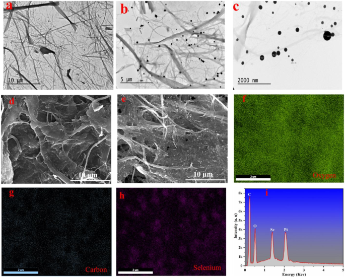Lignin-containing cellulose nanofiber-selenium nanoparticle hybrid enhances tolerance to salt stress in rice genotypes