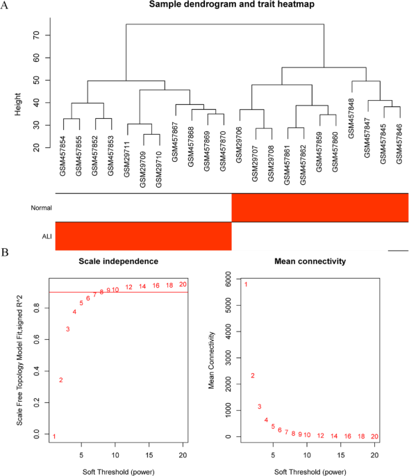 Identification of shared important genes associated with ferroptosis across different etiologies of acute lung injury