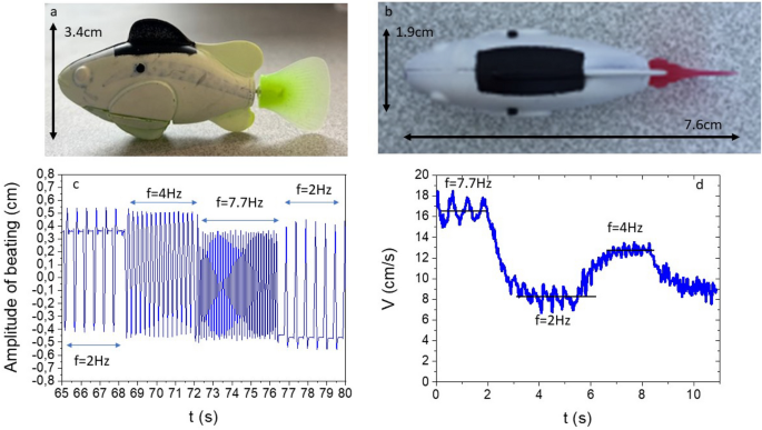 Effects of boundaries for high Reynolds number artificial swimmers
