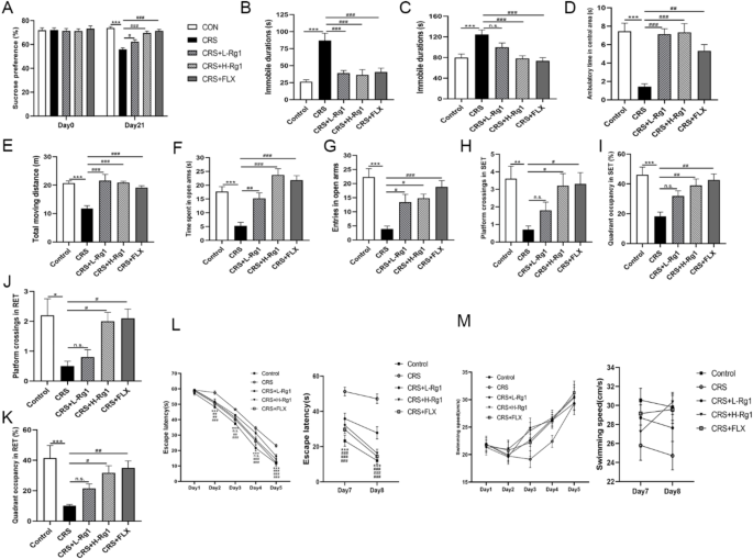 Rinsenoside Rg1 and its involvement in Hippo–YAP signaling pathway alleviating symptoms of depressive-like behavior