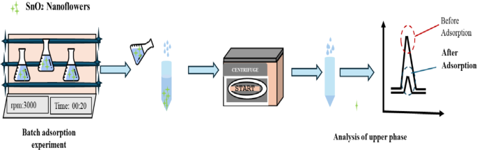 Investigation of cadmium removal using tin oxide nanoflowers through process optimization, isotherms and kinetics