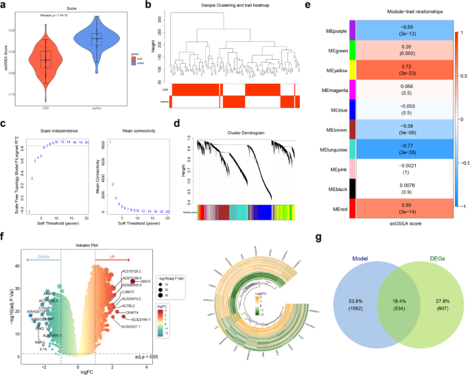 Transcriptome associated with single-cell analysis reveal the role of S-palmitoylation in coronary artery disease