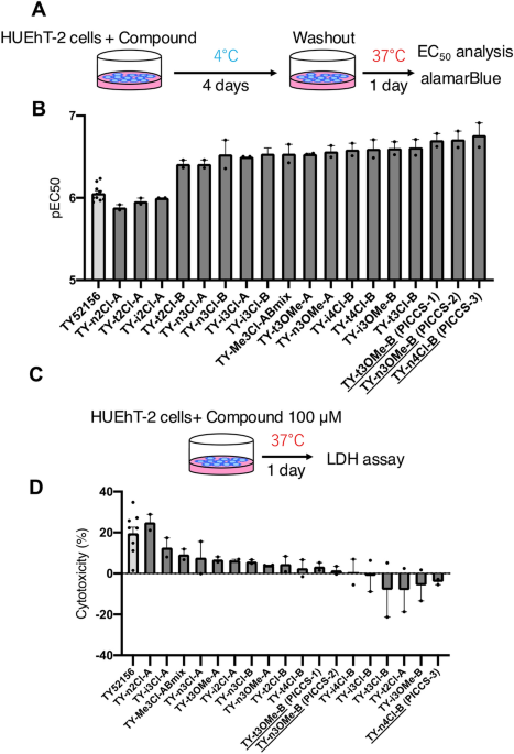 The novel compound PICCS improves cell viability during cold storage and reduces pulmonary ischemia-reperfusion injury in a rat model