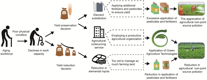 Long-term reduced agricultural nonpoint source pollution driven by rural population aging