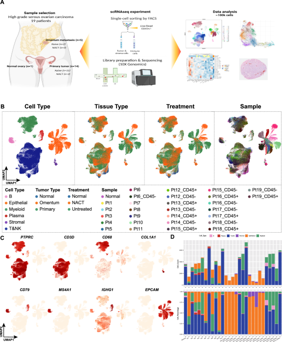 The dynamic immune behavior of primary and metastatic ovarian carcinoma