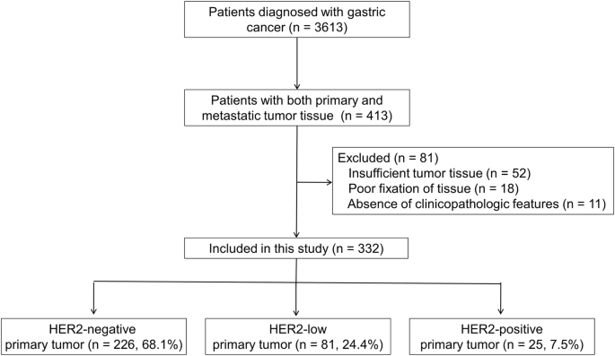 Evolution of HER2-low expression from primary to paired metastatic gastric cancer lesions