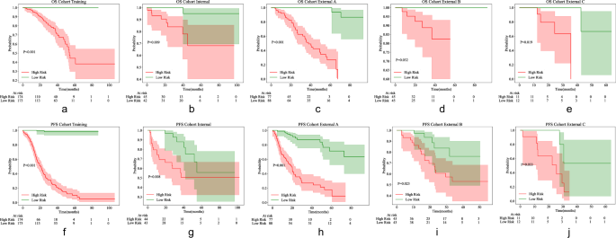 Foundation model-driven multimodal prognostic prediction in patients undergoing primary surgery for high-grade serous ovarian cancer