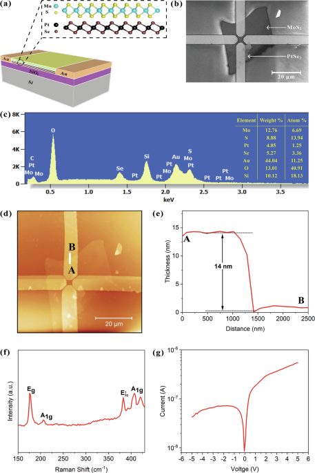 UV-enhanced exfoliated MoS2/PtSe2 heterostructure for ultra-sensitive NO2 detection at room temperature