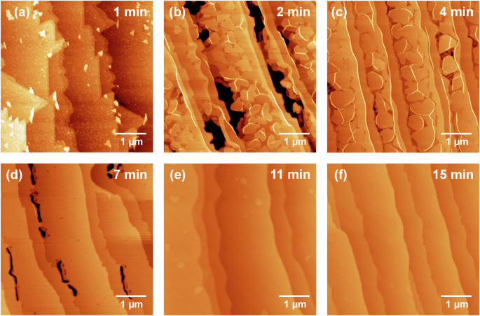 Self-limited monolayer graphene growth on SiC with propane-hydrogen CVD