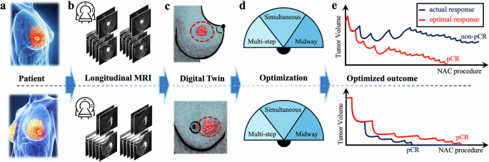 MRI-based digital twins to improve treatment response of breast cancer by optimizing neoadjuvant chemotherapy regimens