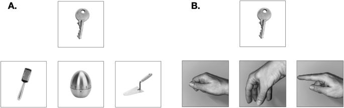 Neurocognitive mechanisms underlying action tool knowledge tasks: specificity of tool-tool compared to hand-tool compatibility tasks
