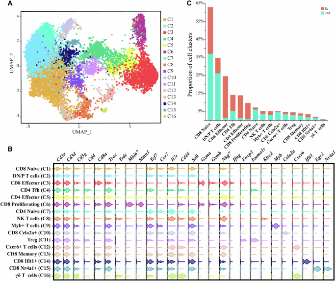 Single-cell transcriptional responses of T cells during microsporidia infection