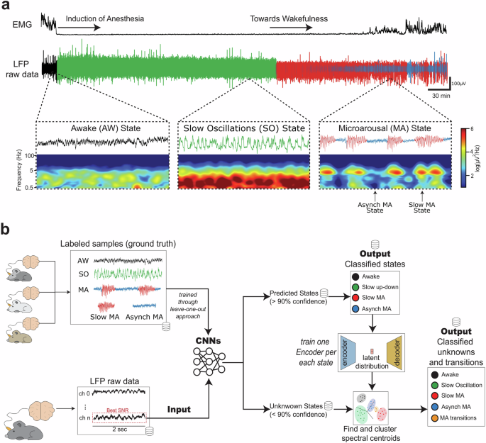 Neural models for detection and classification of brain states and transitions