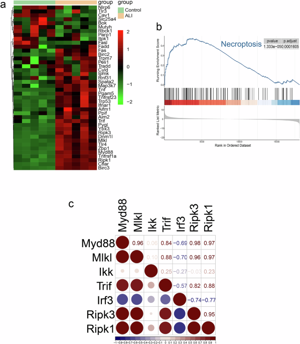 Targeting alveolar epithelial cells with lipid micelle-encapsulated necroptosis inhibitors to alleviate acute lung injury