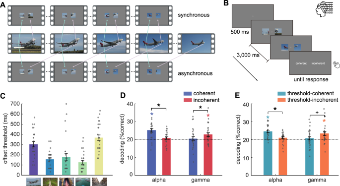Representational shifts from feedforward to feedback rhythms index phenomenological integration in naturalistic vision